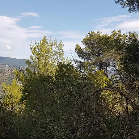 La Baita Met Zeezicht * Camporosso (Liguria)